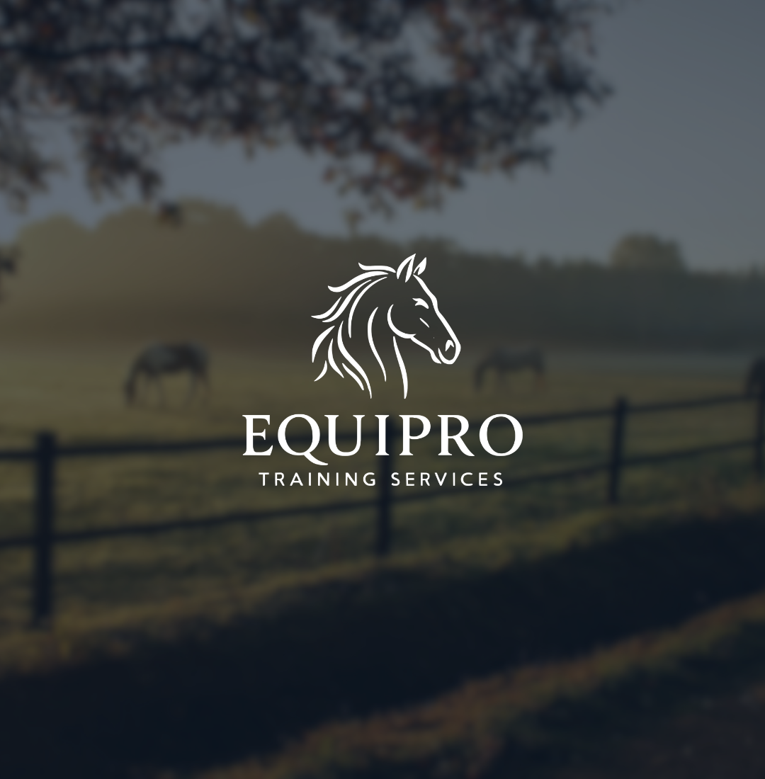 Brand Identity, Website & Video Edit for Equipro by Mr Green Glimmer