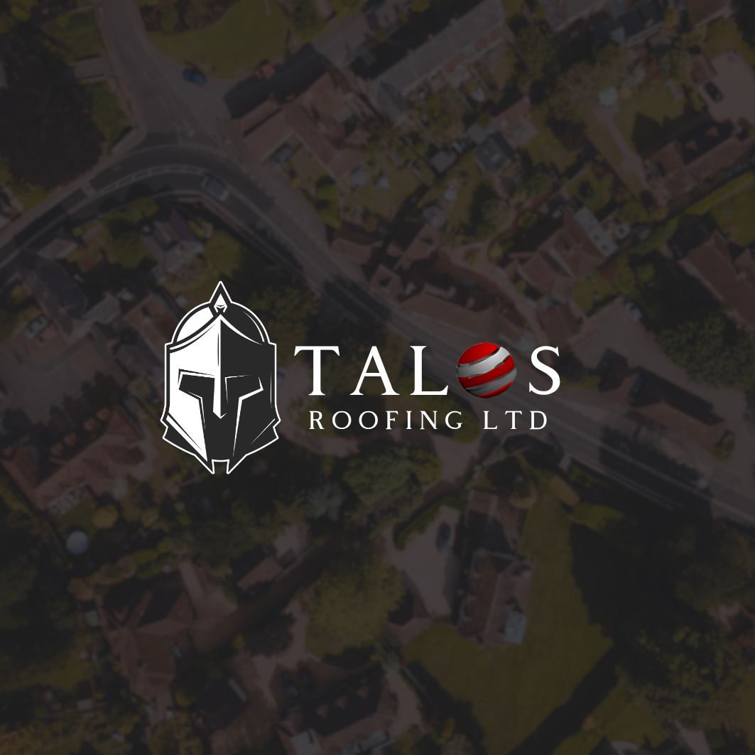 Brand & Website Design for Talos by Mr Green Glimmer